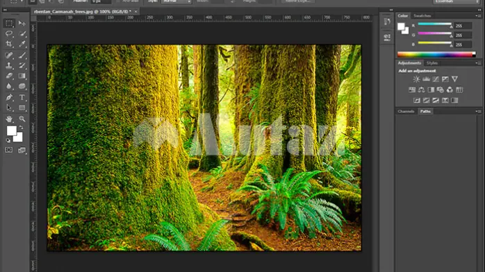 Adobe Photoshop CS6 Download Free