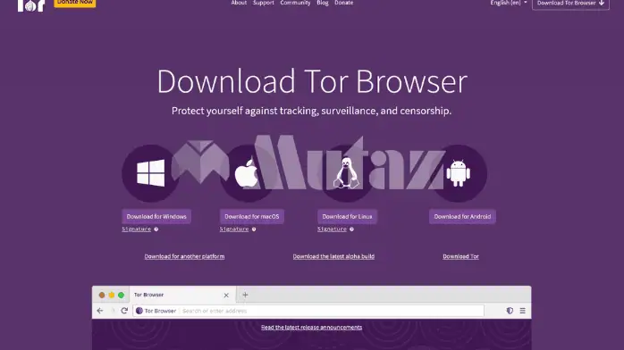 Tor Browser Download Free