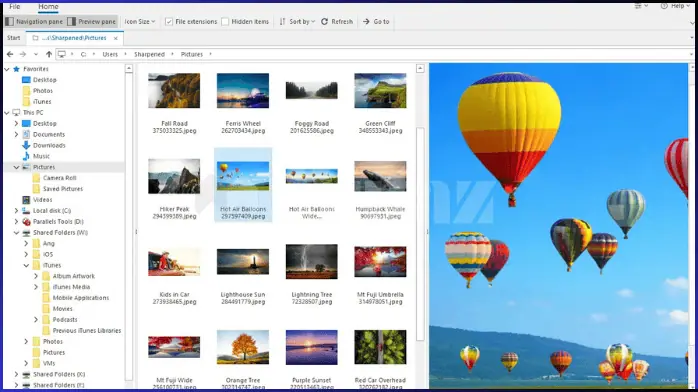 تحميل برنامج File Viewer Plus
