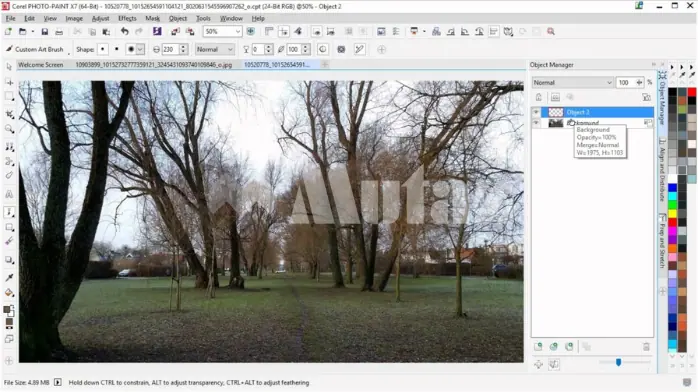 CorelDRAW Graphics Suite Free