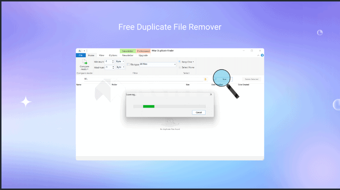 تحميل برنامج Wise Duplicate Finder