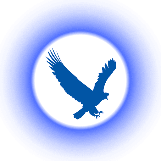 تحميل برنامج Eagleget Download Manager