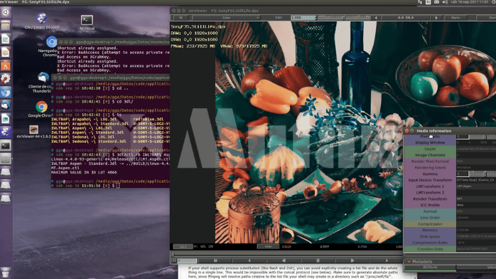 تحميل برنامج mrViewer